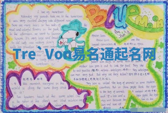 Tre`Von易名通起名网